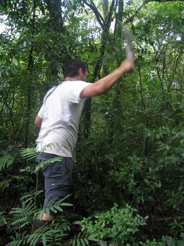 Chuchi voluntario de Logrono en plena faena.jpg